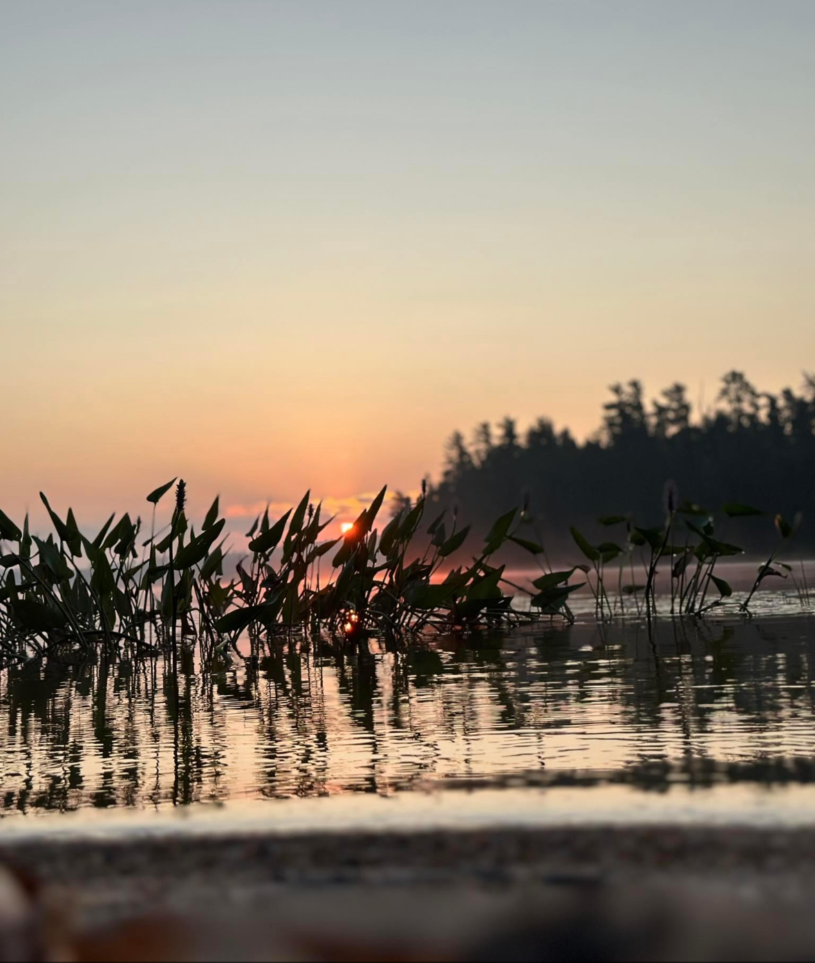 Sunrise on lake kipawa