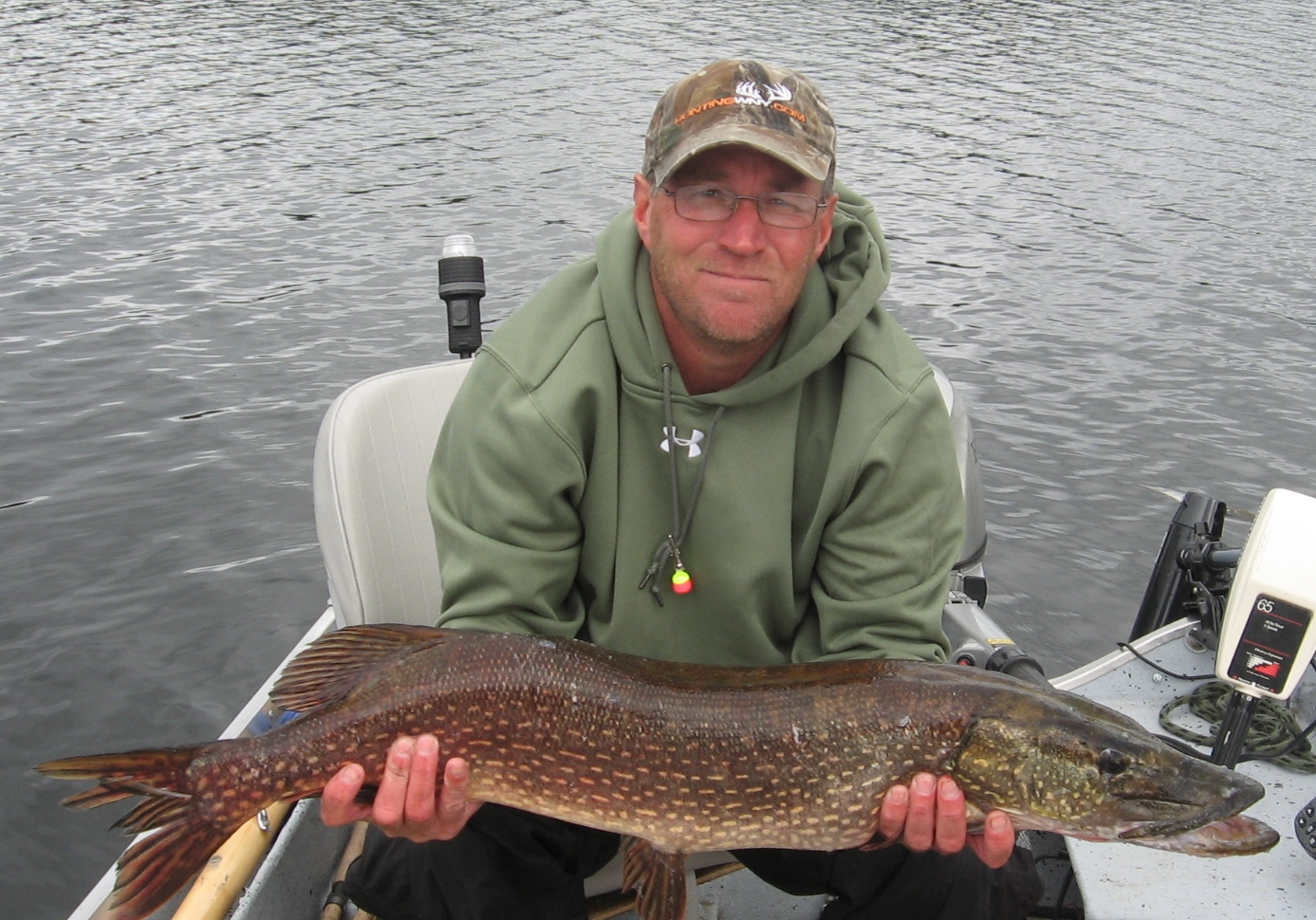 Northern pike 37 1/2"