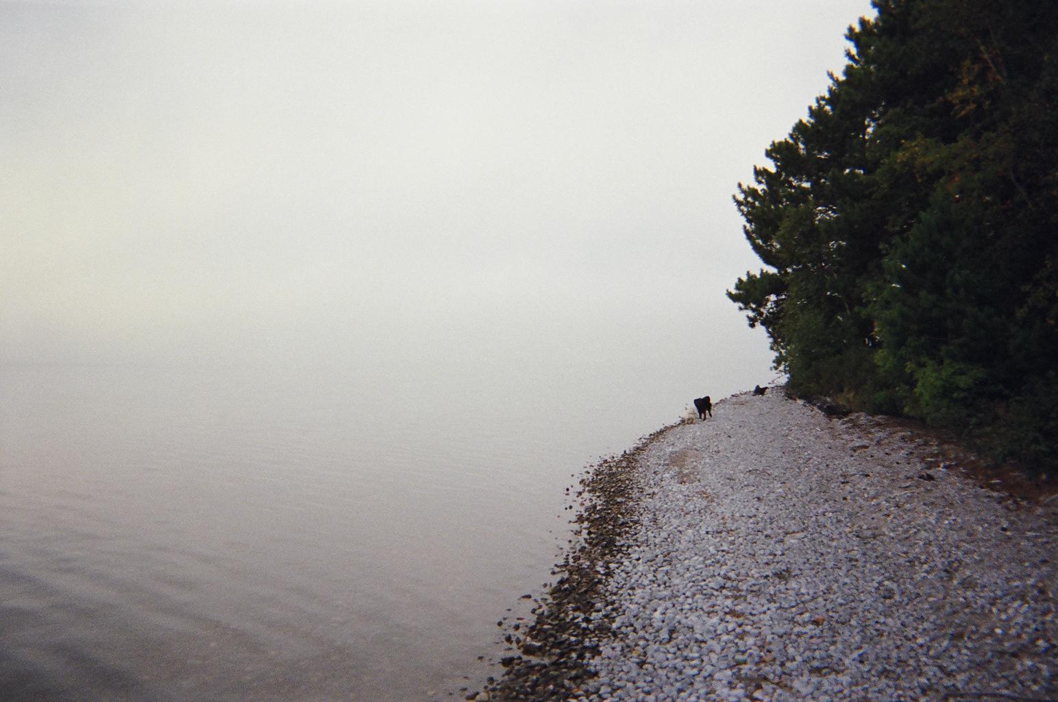 Lac Sunnyside morning Fog