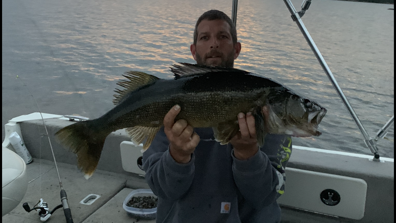 30â€ Walleye